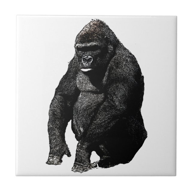 Carreau Gorilla (Devant)