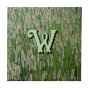 Carreau Graines vertes