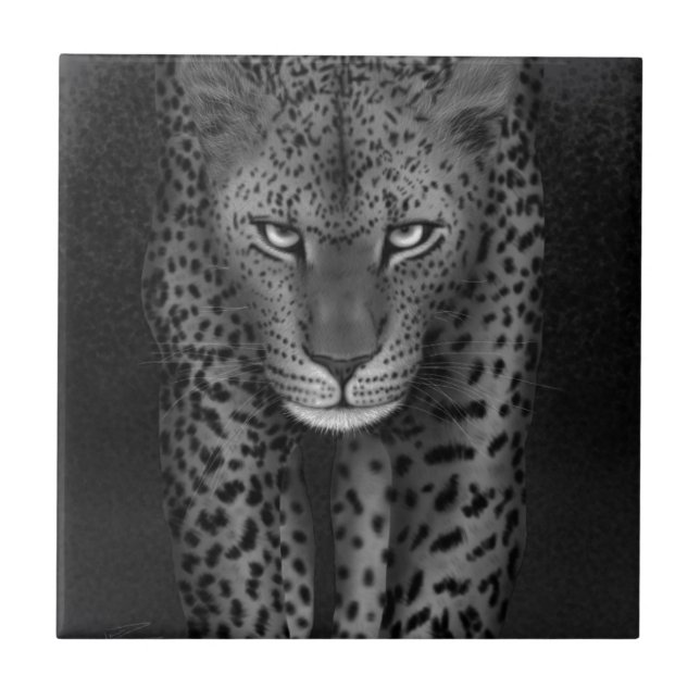 Carreau Grand chat (Devant)