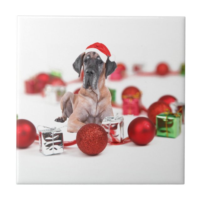 Carreau Grand chien Danois avec ornements de Noël Cadeaux (Devant)