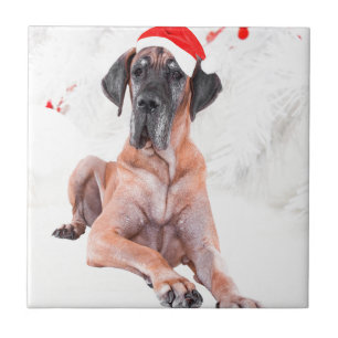 Carreau Grand chien Danse Casquette Joyeux Noël
