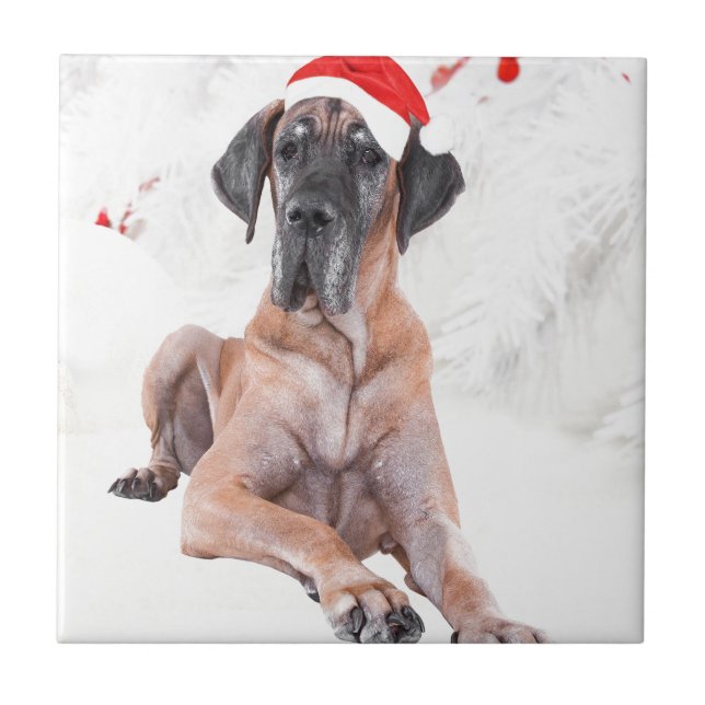 Carreau Grand chien Danse Casquette Joyeux Noël (Devant)