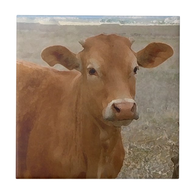 Carreau Grands yeux de vache - bétail rouges (Devant)
