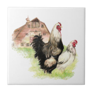 Carreau Grange de poulet et de coq de pays, scène de ferme