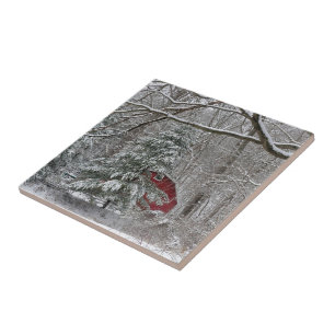 Carreau Grange rouge neigeuse