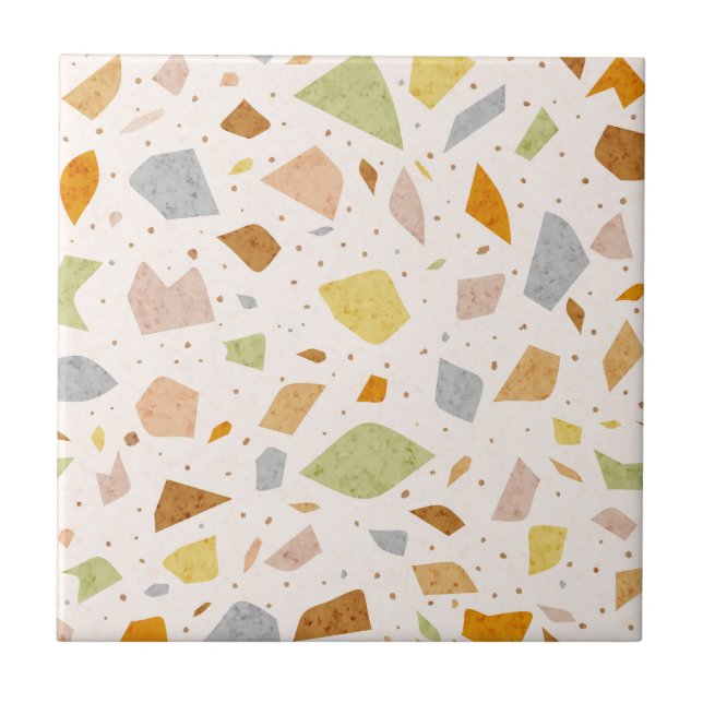 Carreau Granite Grainy Texté Italien Terrazzo Motif (Devant)