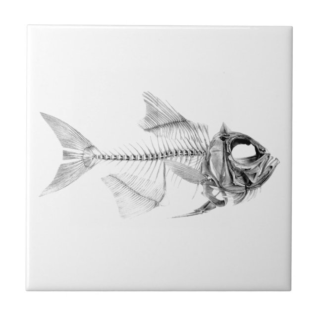 Carreau Gravure à l'eau-forte squelettique de poissons (Devant)