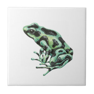 Carreau grenouille à fléchettes