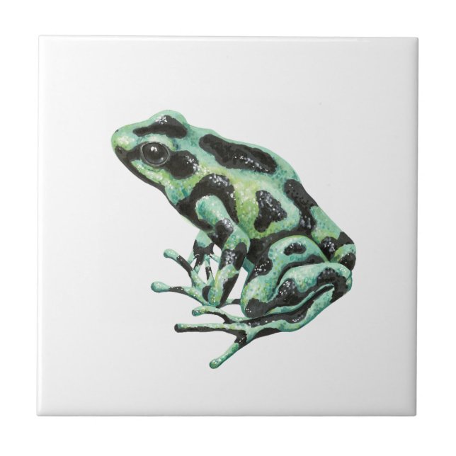 Carreau grenouille à fléchettes (Devant)
