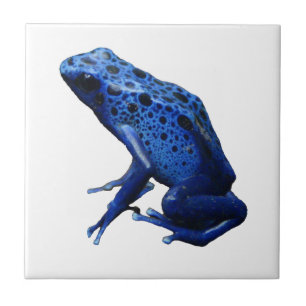 Carreau Grenouille à tarte à poison bleu