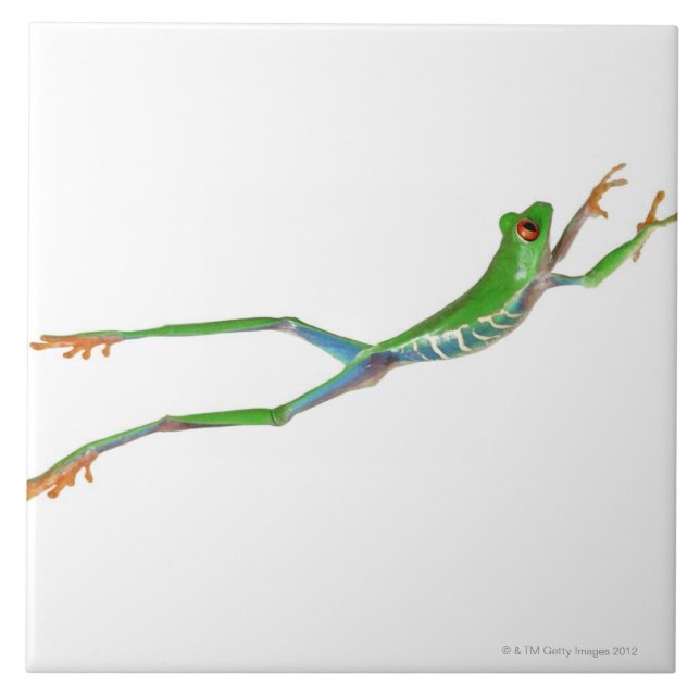 Carreau Grenouille aux yeux rouges saut (Devant)