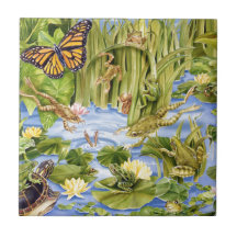 Grenouille rectangulaire
