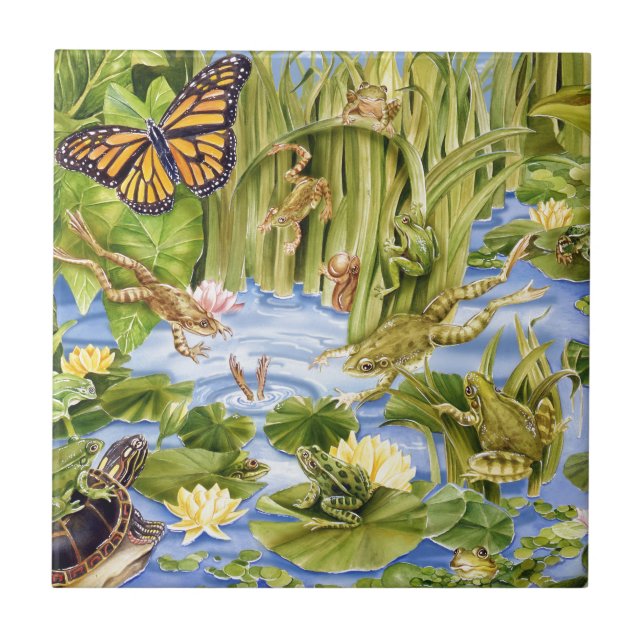 Carreau Grenouille rectangulaire (Devant)