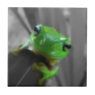 Carreau Grenouille verte brillante