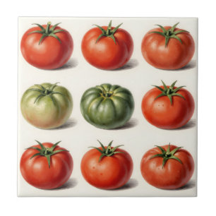Carreau Grille botanique de variétés de tomates anciennes 