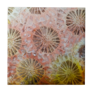 Carreau Gros plan de corail rose
