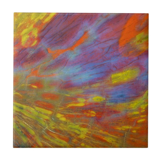 Carreau Gros plan en bois petrifié coloré (Devant)