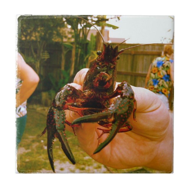 Carreau Grosse langouste vivante (Devant)