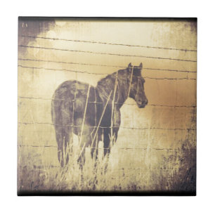 Carreau Grunge de Cheval Noir