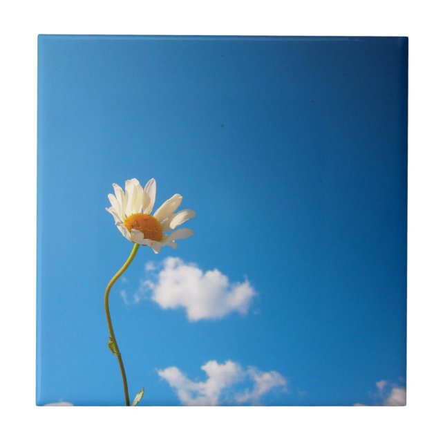 Carreau Grytunderlägg Daisy (Devant)