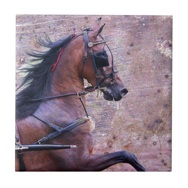 Carreau Hackney Grunge (Devant)