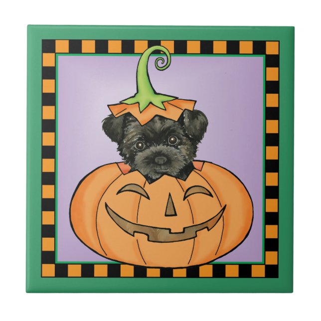 Carreau Halloween Affenpinscher (Devant)