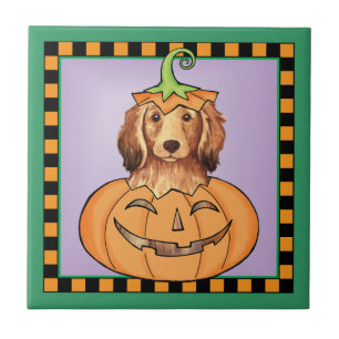 Carreau Halloween Dachshund