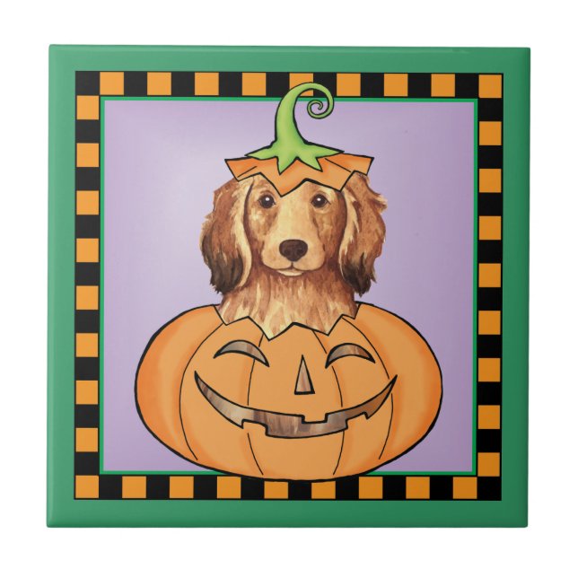 Carreau Halloween Dachshund (Devant)