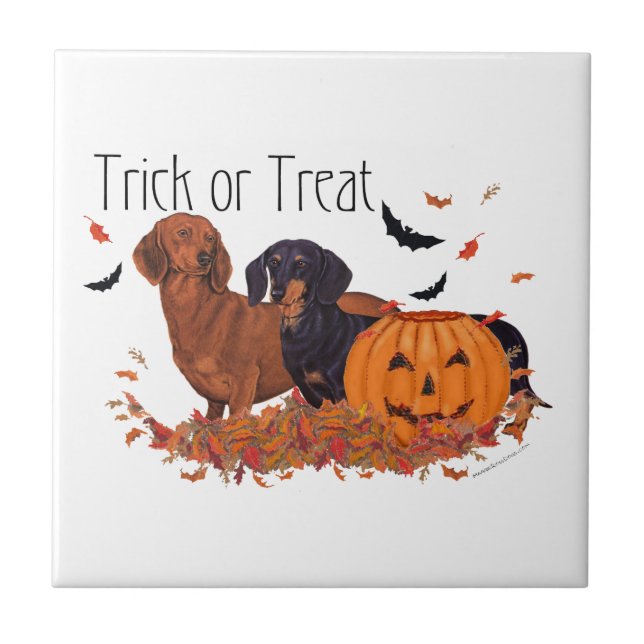 Carreau Halloween Dachshunds (Devant)