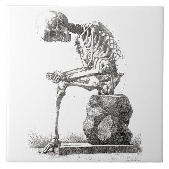 Carreau Halloween squelette assis anatomie (Devant)