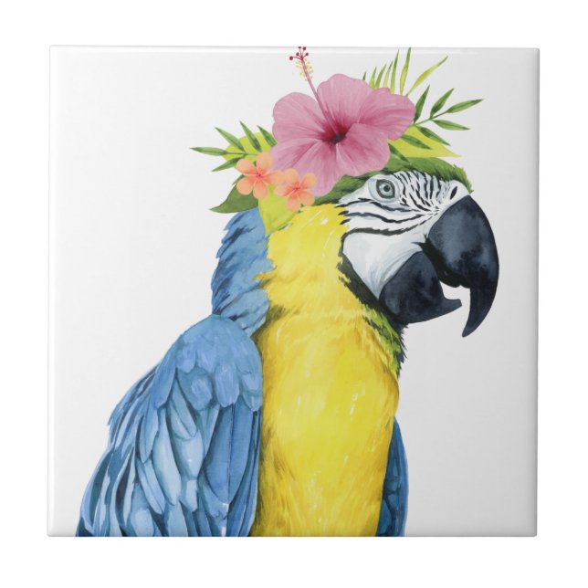 Carreau Halo tropical - Perroquet (Devant)