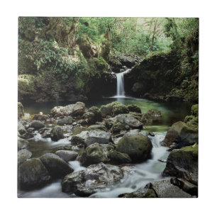 Carreau Hawaï, Maui, Une cascade se jette dans la piscine 