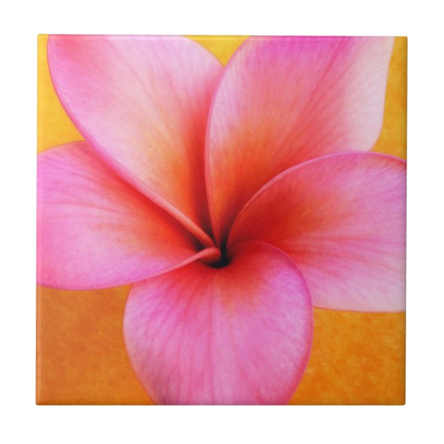 Carreau Hawaïen rose de fleur d'Hawaï de Frangipani de (Devant)