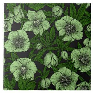 Carreau Hellebores blancs avec feuille