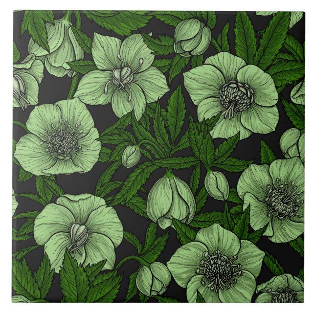 Carreau Hellebores blancs avec feuille (Devant)