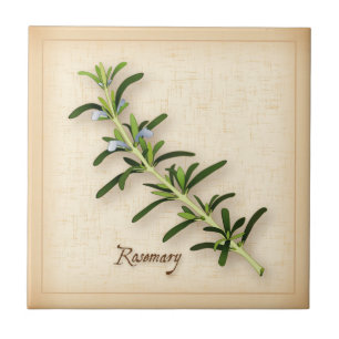 Carreau Herbe de romarin