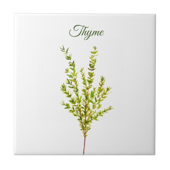 Carreau Herbe de thym vert cuisine Cuisine culinaire Plant (Devant)