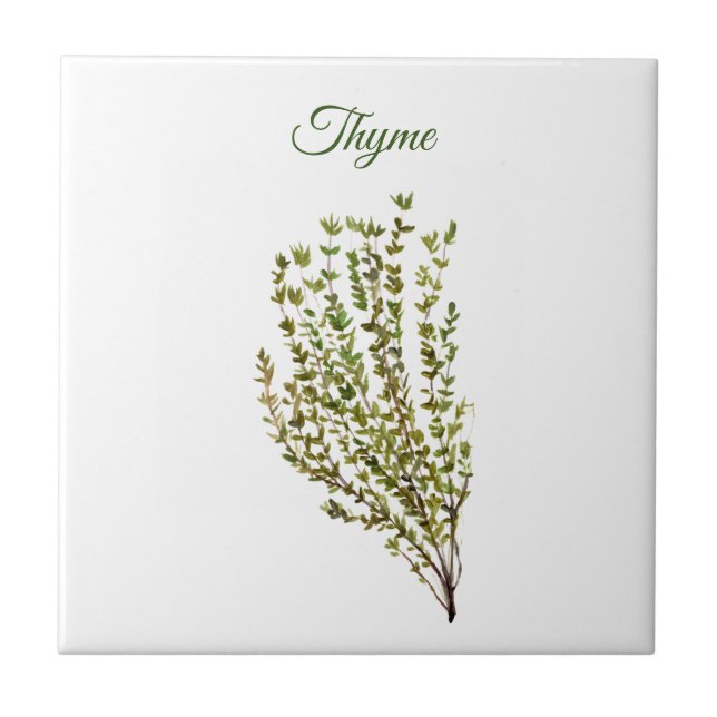 Carreau Herbe de thym Vert Cuisine Culinaire Vert Plante C (Devant)