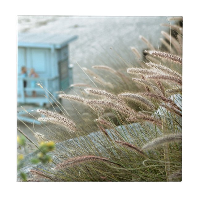 Carreau Herbes sauvages sur la plage la Californie de (Devant)