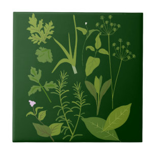 Carreau Herbes Tuile de cuisine