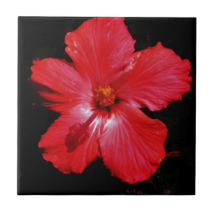 Carreau Hibiscus rouge