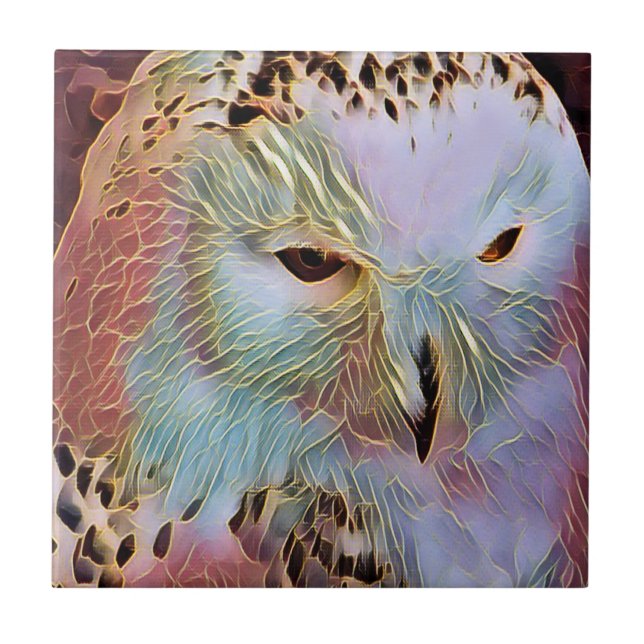 CARREAU HIBOU (Devant)