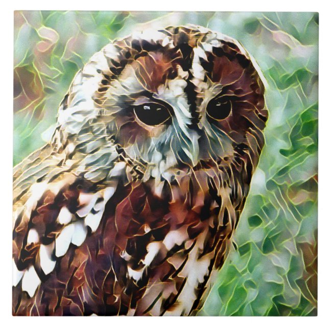 CARREAU HIBOU (Devant)