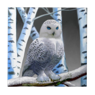 Carreau Hibou aux yeux bleus de neige