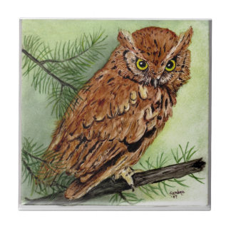 Carreau Hibou de cri strident occidental