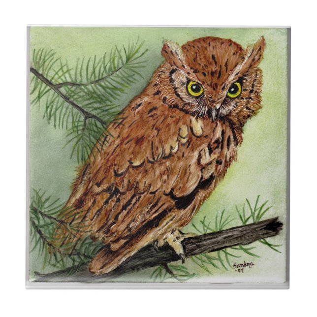 Carreau Hibou de cri strident occidental (Devant)