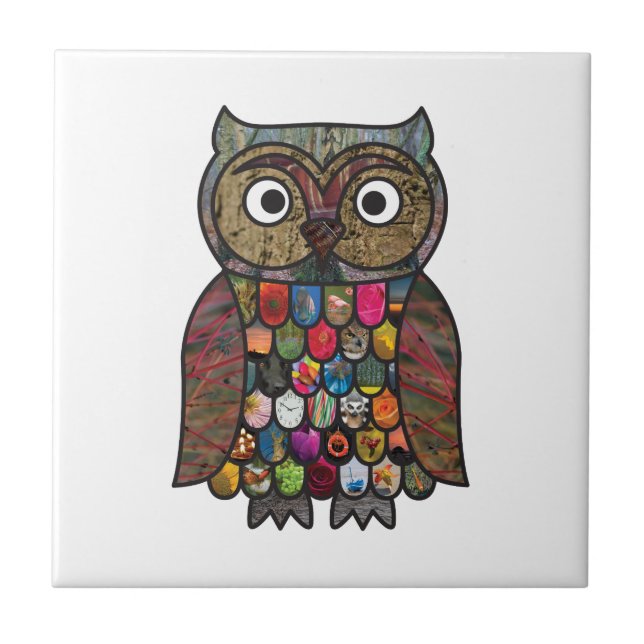 Carreau Hibou de patchwork (Devant)