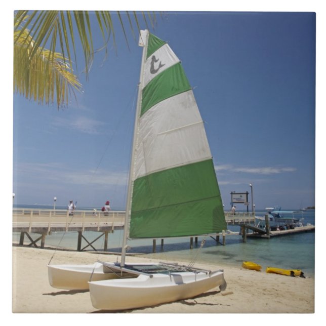 Carreau Hobie Cat, Plantation Island Resort (Devant)