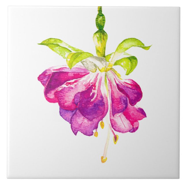 Carreau Holi on a Ceramic Tile (A) (Devant)