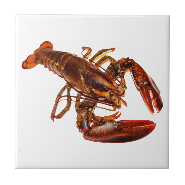 Carreau Homard (Devant)